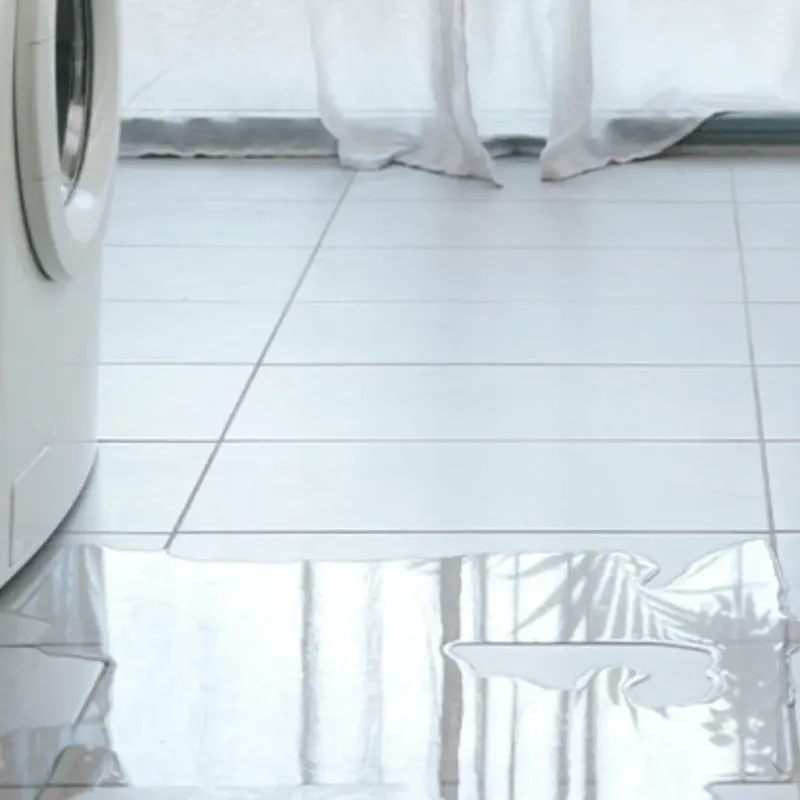 Appliance Leak Cleanup in Louisville, MS