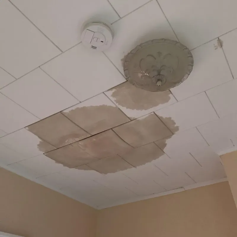 Ceiling Water Damage Repair in Louisville, MS