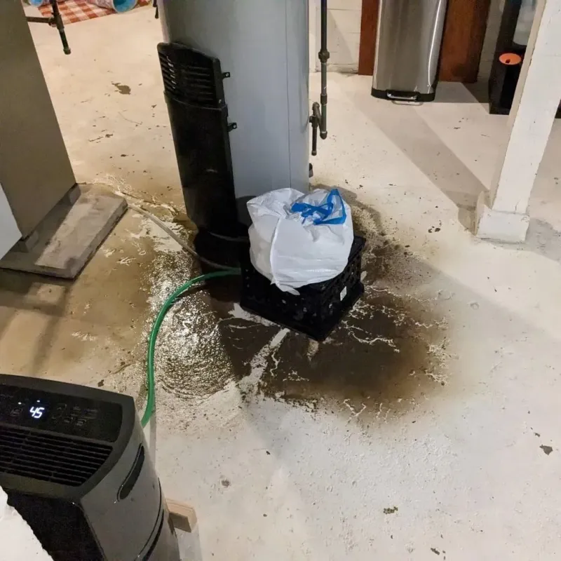 Sewage Backup Cleanup Service in Louisville, MS